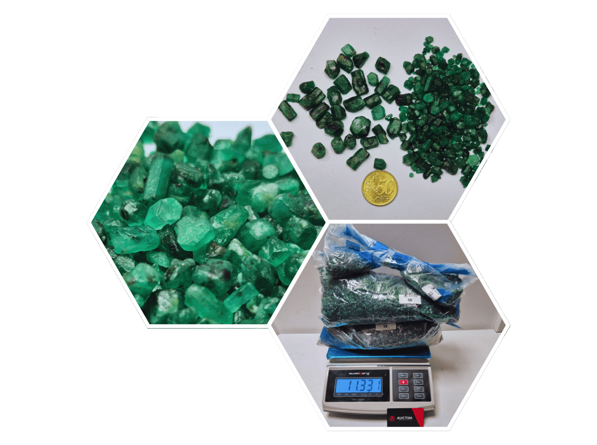 Auctim-Emerald-Auction_4