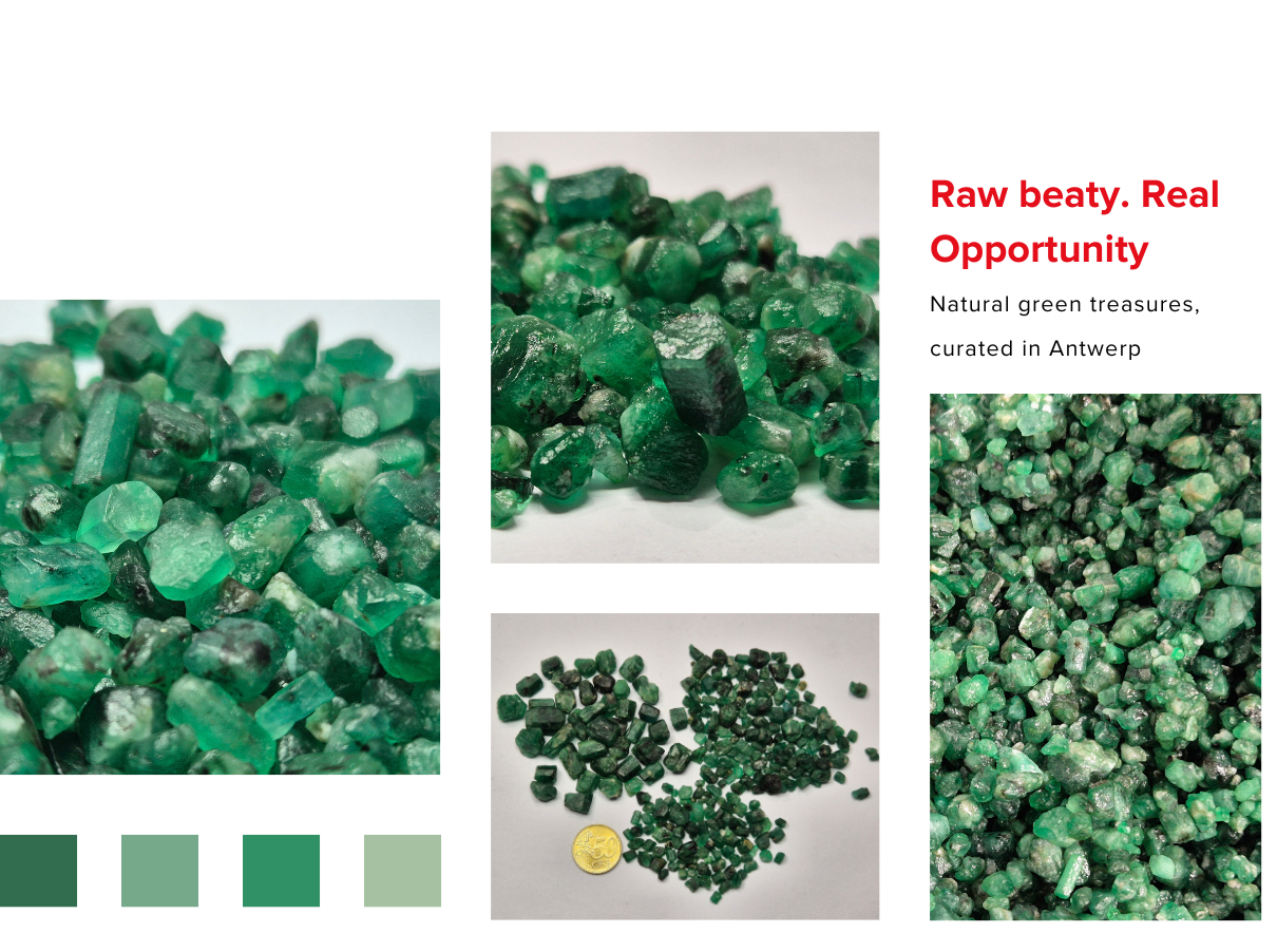 Emerald-Auction-Auctim-1